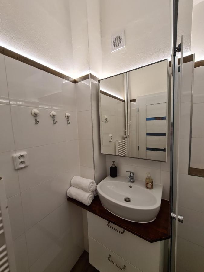 Svetly Prostorny Byt V Karline Apartment Прага Екстериор снимка