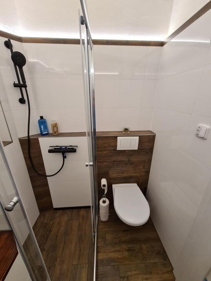 Svetly Prostorny Byt V Karline Apartment Прага Екстериор снимка