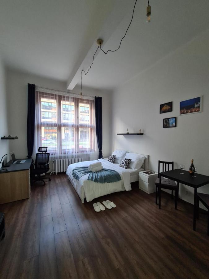 Svetly Prostorny Byt V Karline Apartment Прага Екстериор снимка
