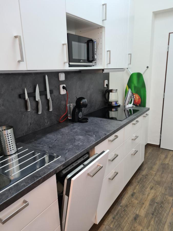 Svetly Prostorny Byt V Karline Apartment Прага Екстериор снимка