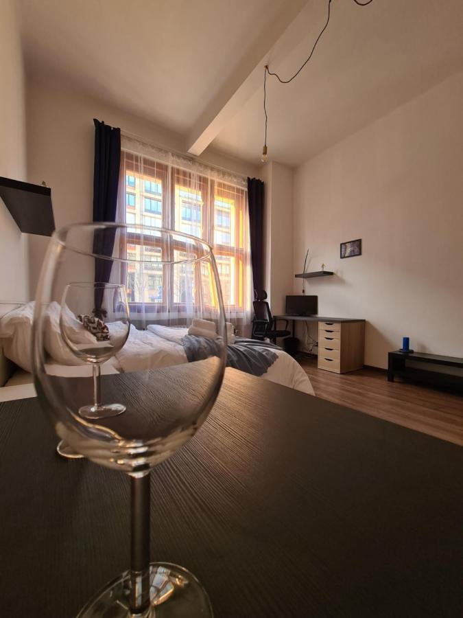 Svetly Prostorny Byt V Karline Apartment Прага Екстериор снимка