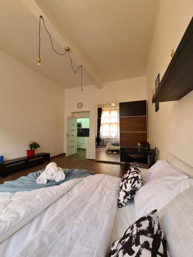 Svetly Prostorny Byt V Karline Apartment Прага Екстериор снимка