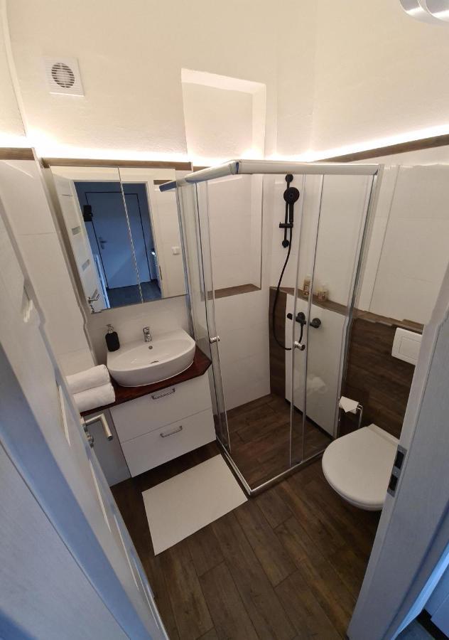 Svetly Prostorny Byt V Karline Apartment Прага Екстериор снимка