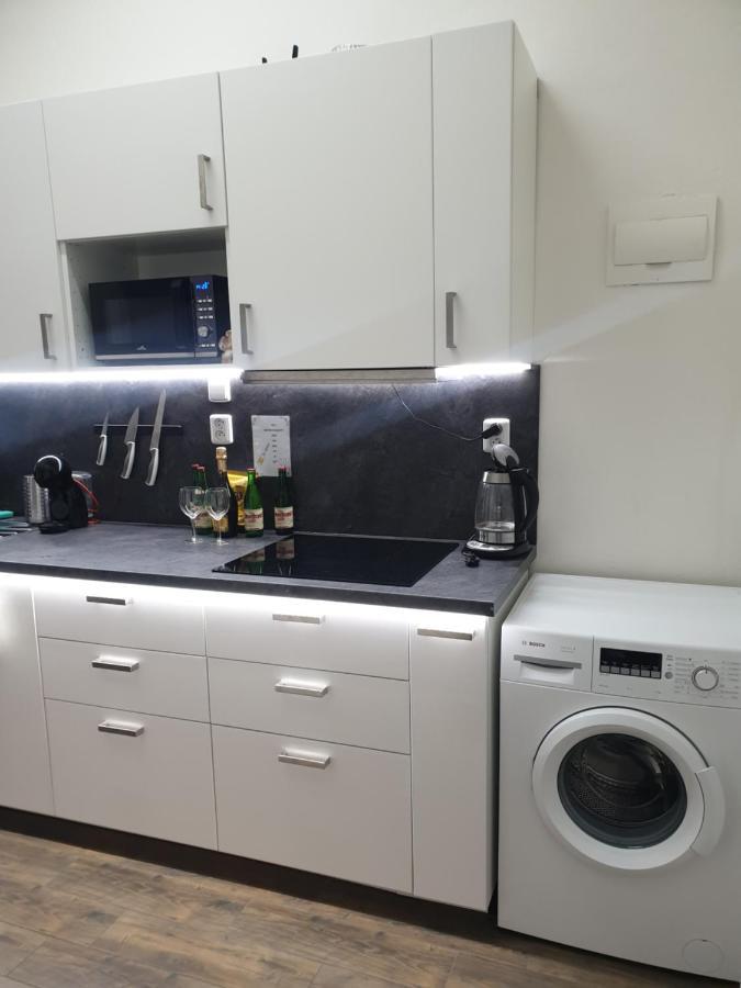Svetly Prostorny Byt V Karline Apartment Прага Екстериор снимка